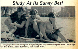 Mac Weekly Studying on a Sunny Day, Dee Keller, Jackie Hjermstad, Sharon Wolfe