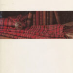 with photo of tartan and books