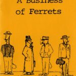 Cover of A Business of Ferrets May 1989